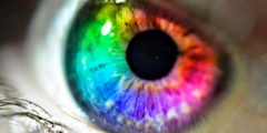 اختبار عمى الألوان color blindness test for kids