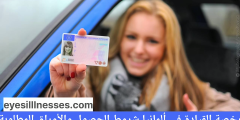 رخصة القيادة في ألمانيا شروط الحصول والأوراق المطلوبة