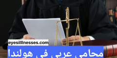 محامي عربي في هولندا – ارقام محامين عرب في هولندا