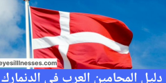 دليل المحامين العرب في الدنمارك