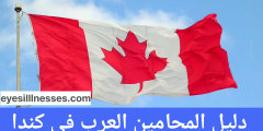 دليل المحامين العرب في كندا