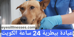 عيادة بيطرية 24 ساعة الكويت